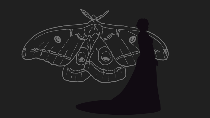 ルシールを象徴する蛾をイメージした画像